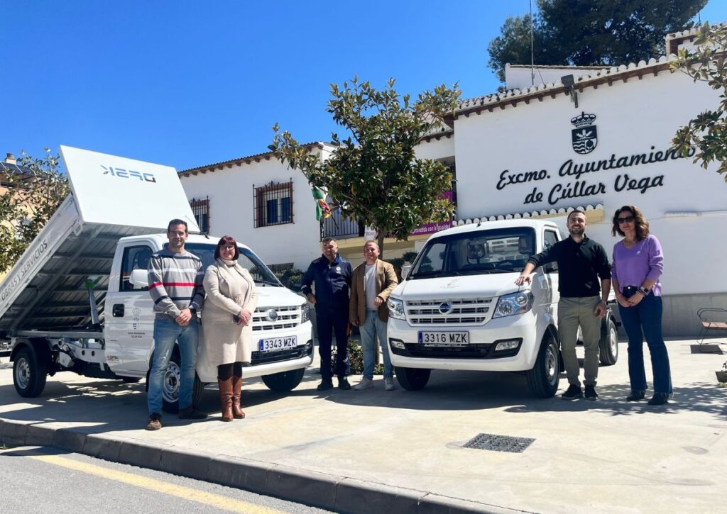 DFSK C31 con basculante